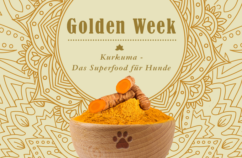 Golden Week Superfood Kurkuma für Hunde